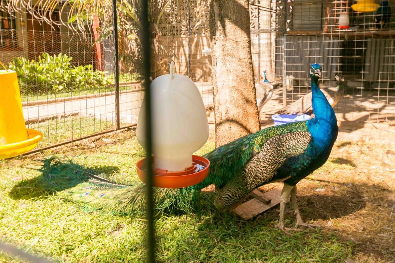 Fahari Gardens Hotel ナイロビ エクステリア 写真